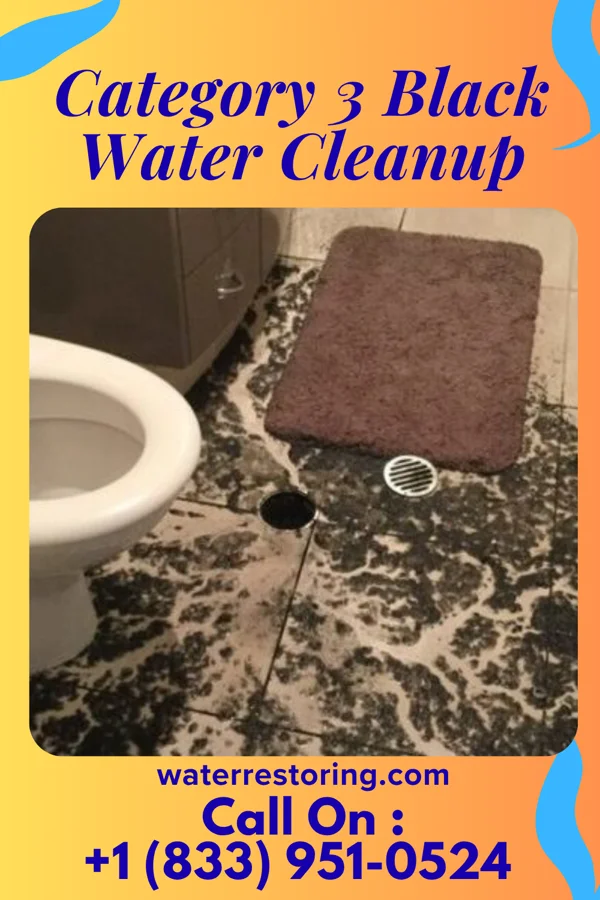 Category 3 Black Water Cleanup in Rosendale, MO