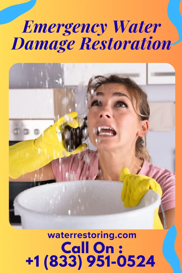 Emergency Water Damage Restoration in Rosendale, MO